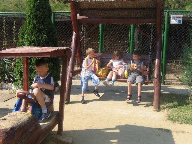 05.jpg