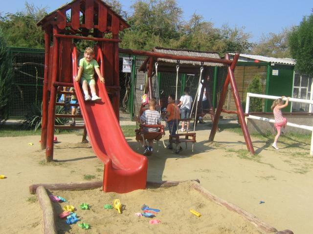 06.jpg