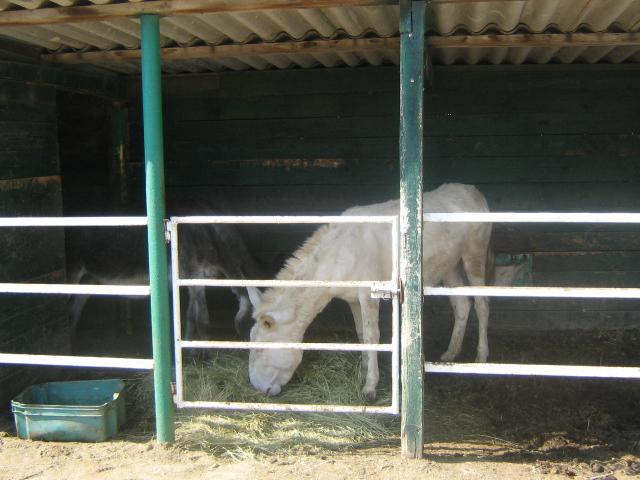 09.jpg