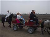 DSCF0684