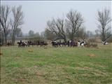 DSCF0694
