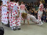 DSCF0443