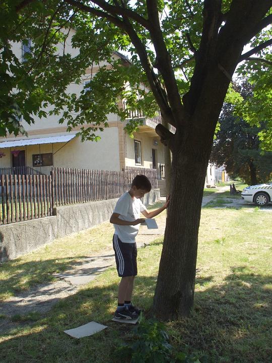 04.jpg