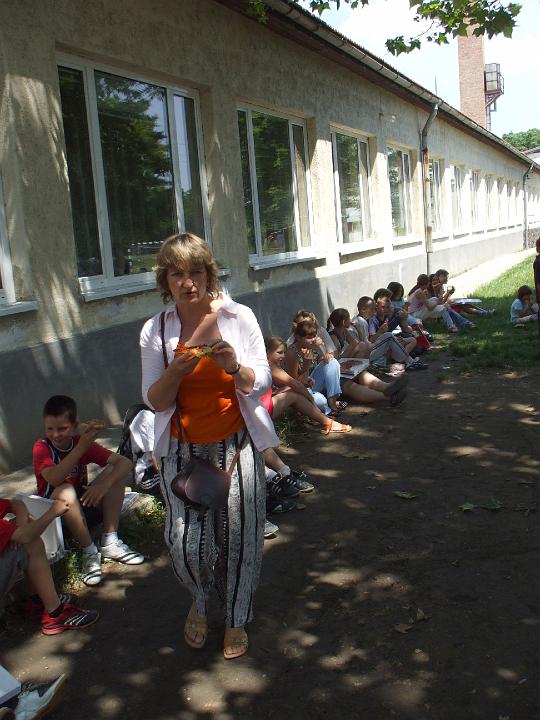 84.jpg