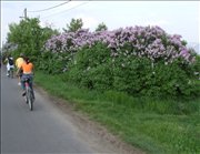 DSCF4039