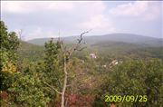09